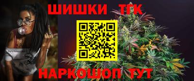 индика Кулебаки