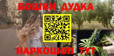 индика Кулебаки