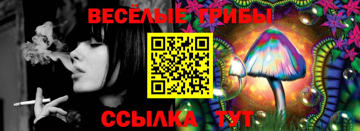 Галлюциногенные грибы прущие грибы Гусев